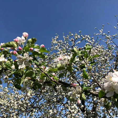 Dom wakacyjny Obermoser