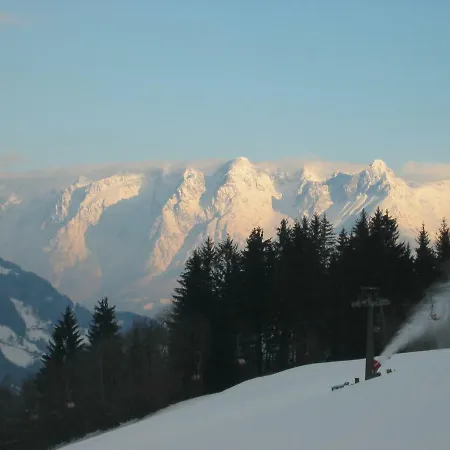 Obermoser